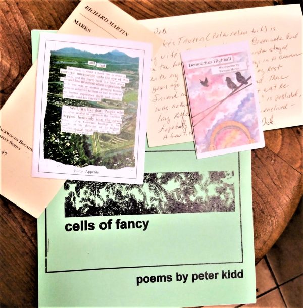 A collection of papers on a table, featuring a poetry book titled "Cells of Fancy," a printed landscape card, and a note with handwriting.
