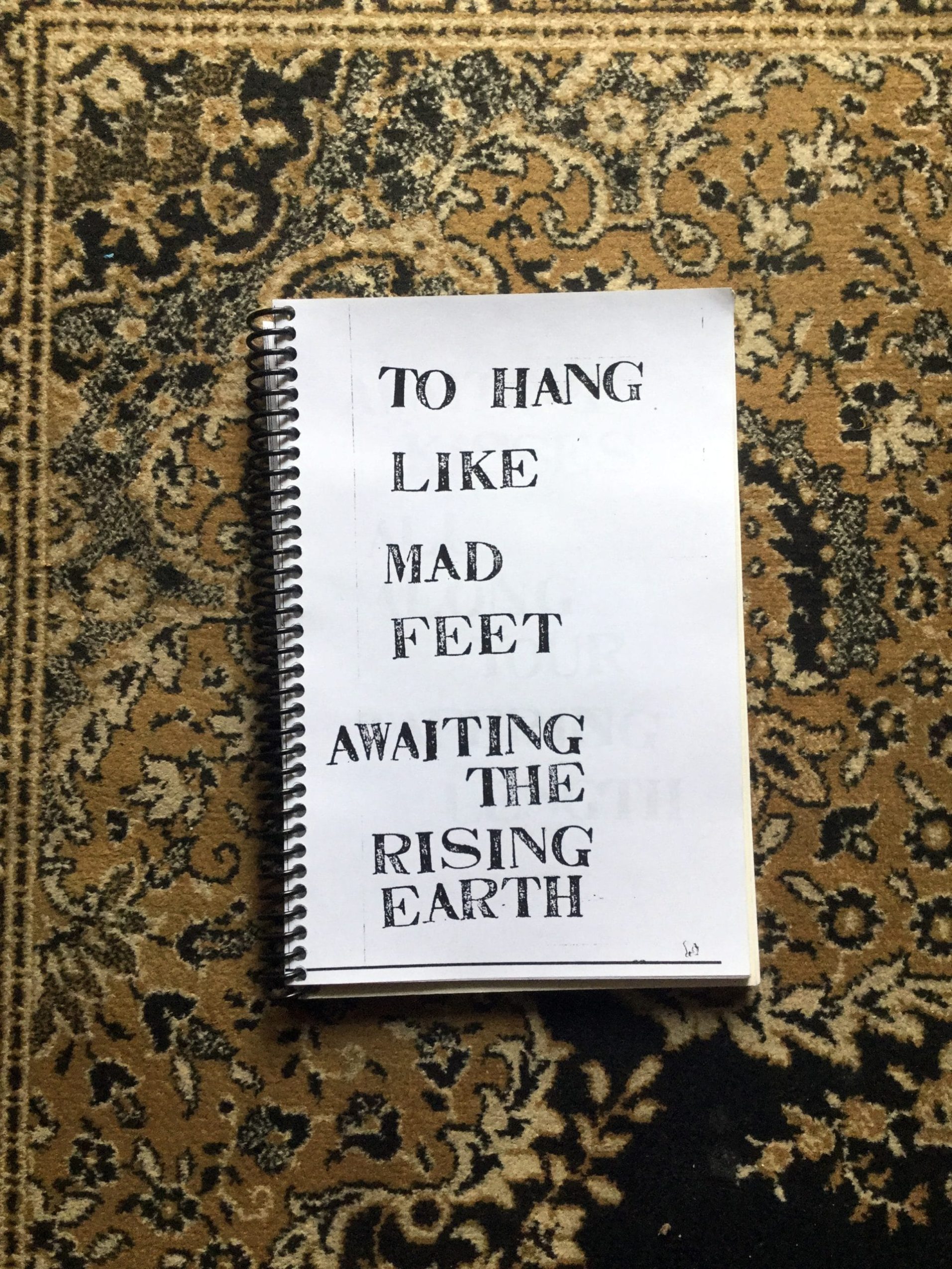 A spiral-bound notebook titled "RECORD, by George Keenen" rests on a patterned carpet, showcasing the text: "TO HANG LIKE MAD FEET AWAITING THE RISING EARTH.