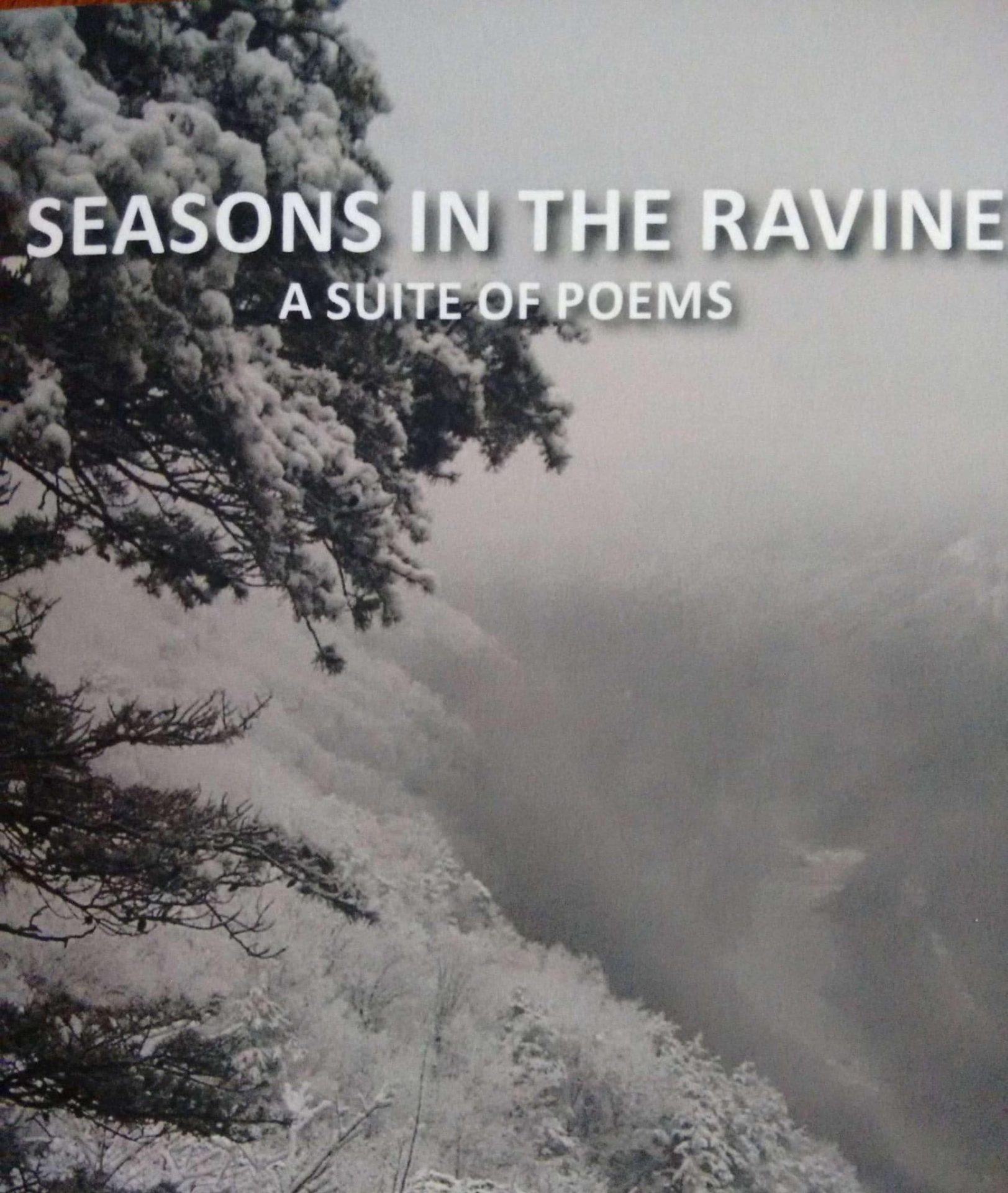 Cover of "Seasons in the Ravine: A Suite of Poems" featuring a snowy landscape with trees and a foggy ravine.