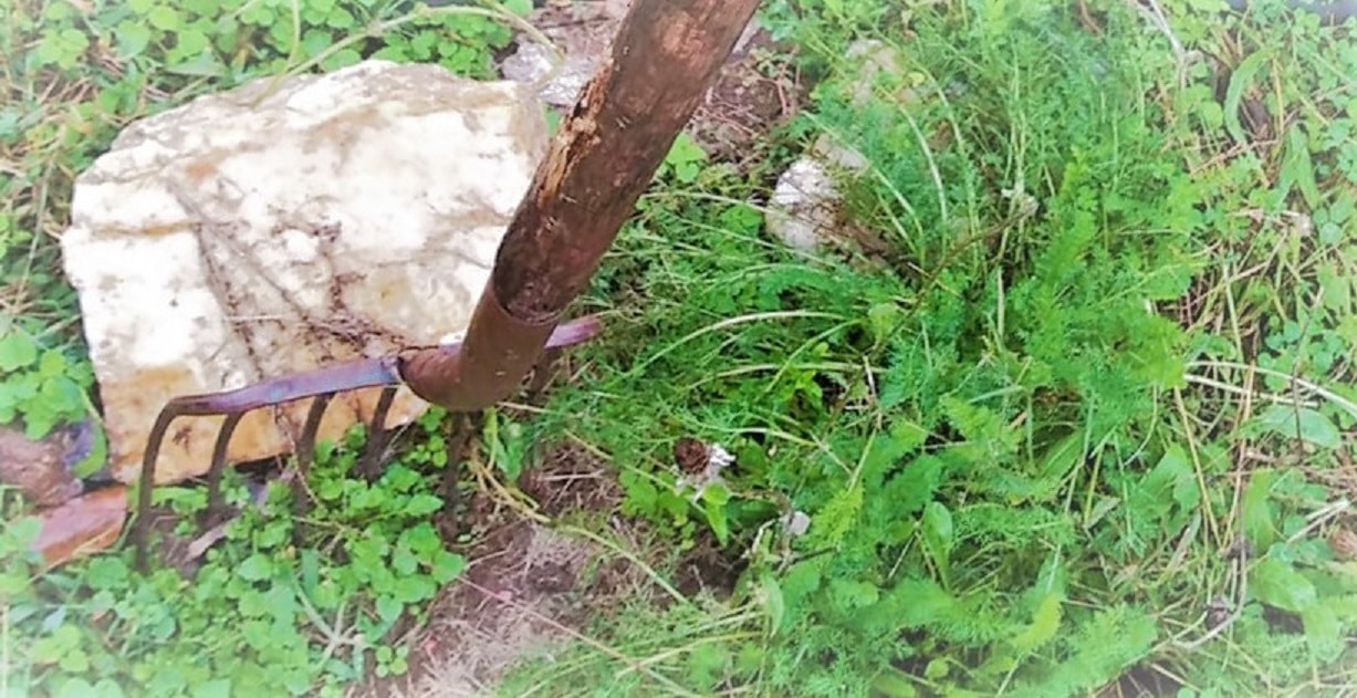 pitchfork, rocks, plants