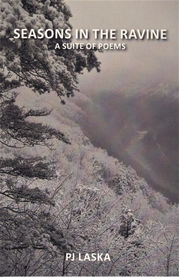 Cover of *Seasons in the Ravine, 2017* by PJ Laska, depicting a snowy landscape with trees and a misty valley.
