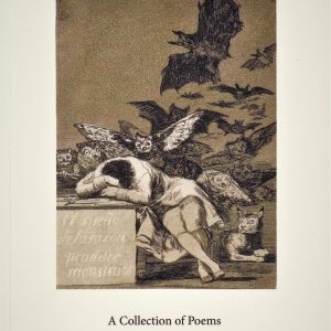 The book cover for "The Sleep of Reason," with an illustration depicting a person asleep enveloped by owls and bats, features the title below: "A Collection of Poems by Edwina Pendarvis, P.J. Laska, and Peter Kidd (2019).