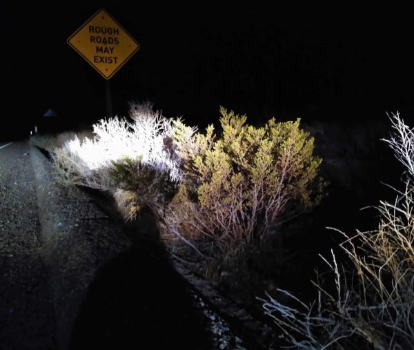 A road at night with headlights illuminating bushes. A sign reads "Rough roads may exist.